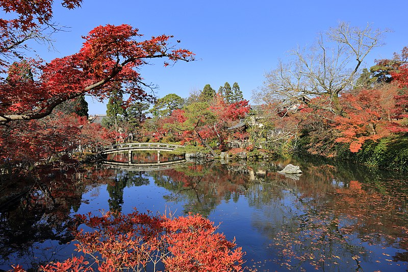 Best Places in Japan to Visit in Autumn: 20 Breathtaking Destinations Across the Country