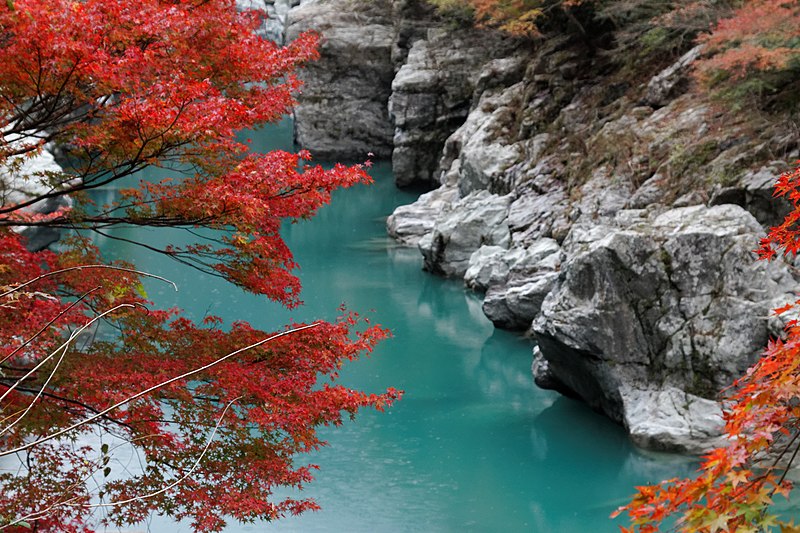 Best Places in Japan to Visit in Autumn: 20 Breathtaking Destinations Across the Country