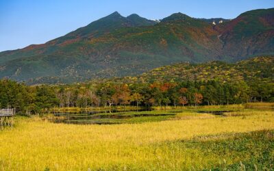 September in Japan: Tips and Insights for a Memorable Early Autumn Experience