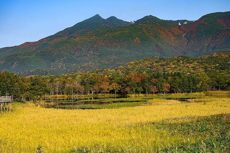 Best Places in Japan to Visit in Autumn: 20 Breathtaking Destinations Across the Country