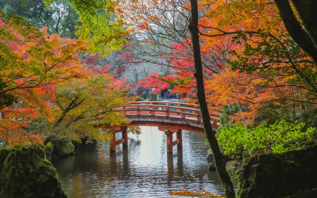 Best Places in Japan to Visit in Autumn: 20 Breathtaking Destinations Across the Country