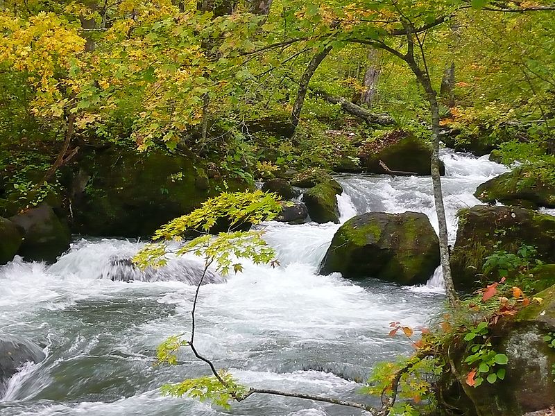 Best Places in Japan to Visit in Autumn: 20 Breathtaking Destinations Across the Country