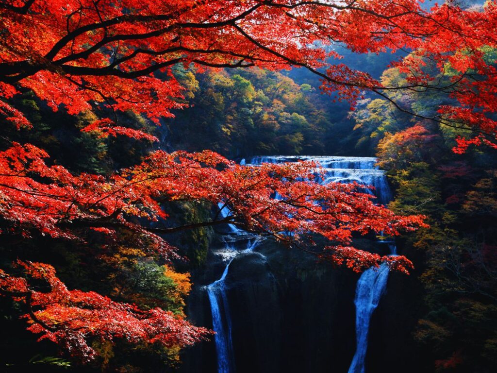 Fall foliage day trips from Tokyo Niko