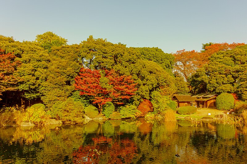 Epic 14-Day Japan Autumn Itinerary: Day 2 Tokyo