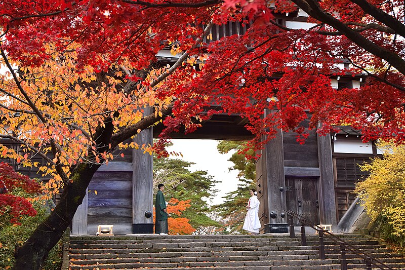 Epic 14-Day Japan Autumn Itinerary: Day 14 Back to Tokyo