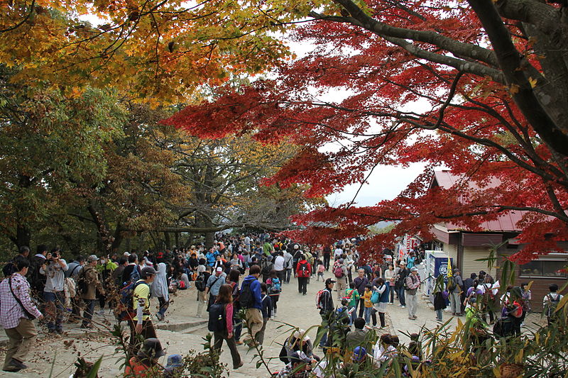 5 Unforgettable Fall Foliage Day Trips from Tokyo: Lake Sagami & Mount Takao