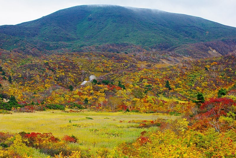 6 Stunning Yet Lesser-Known Fall Foliage Spots in Tohoku: Mount Kurikoma