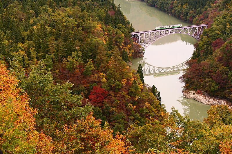 6 Stunning Yet Lesser-Known Fall Foliage Spots in Tohoku: Tadami Line