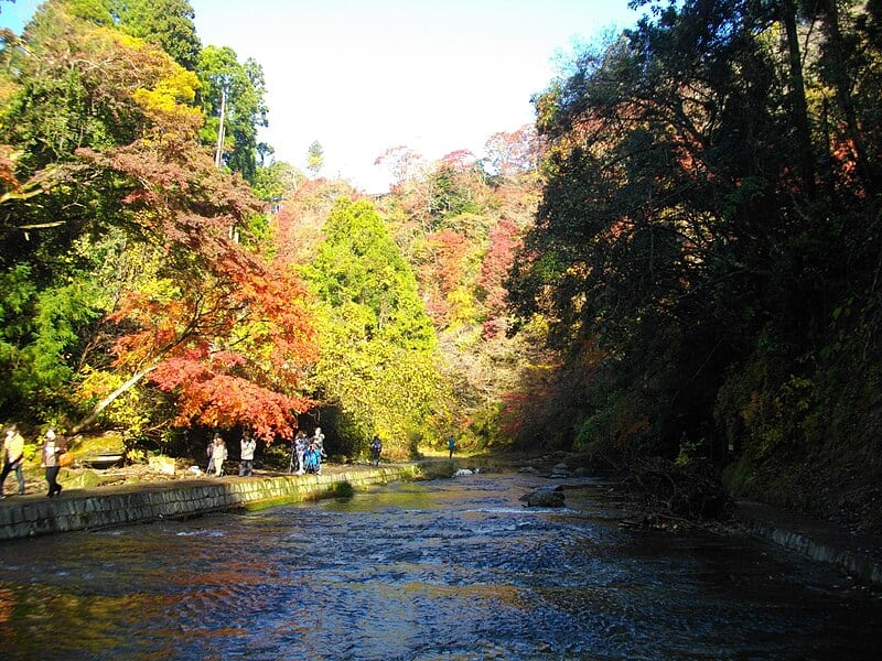 6 Stunning Lesser-Known Fall Foliage Spots in the Kanto Area Beyond Crowded Tokyo