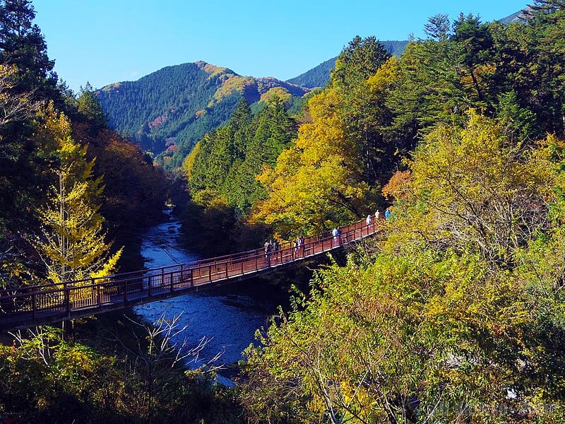 6 Stunning Lesser-Known Fall Foliage Spots in the Kanto Area Beyond Crowded Tokyo