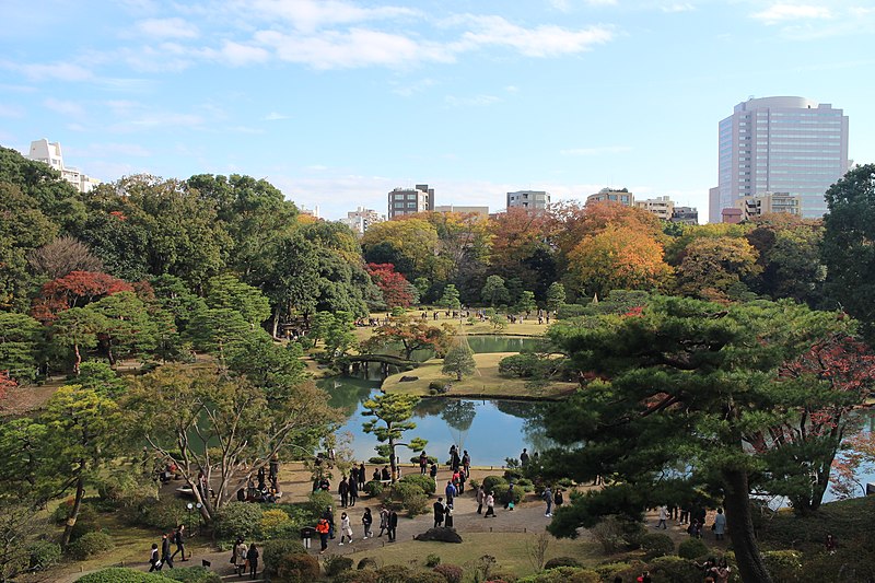 Epic 14-Day Japan Autumn Itinerary: Day 2 Tokyo