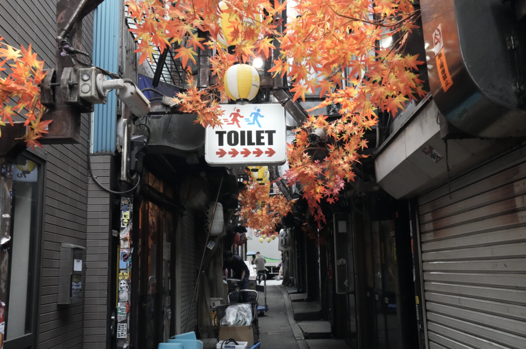 3 Stops on the Oedo Line: Omoide Yokocho (Photo by Flip Japan Guide)