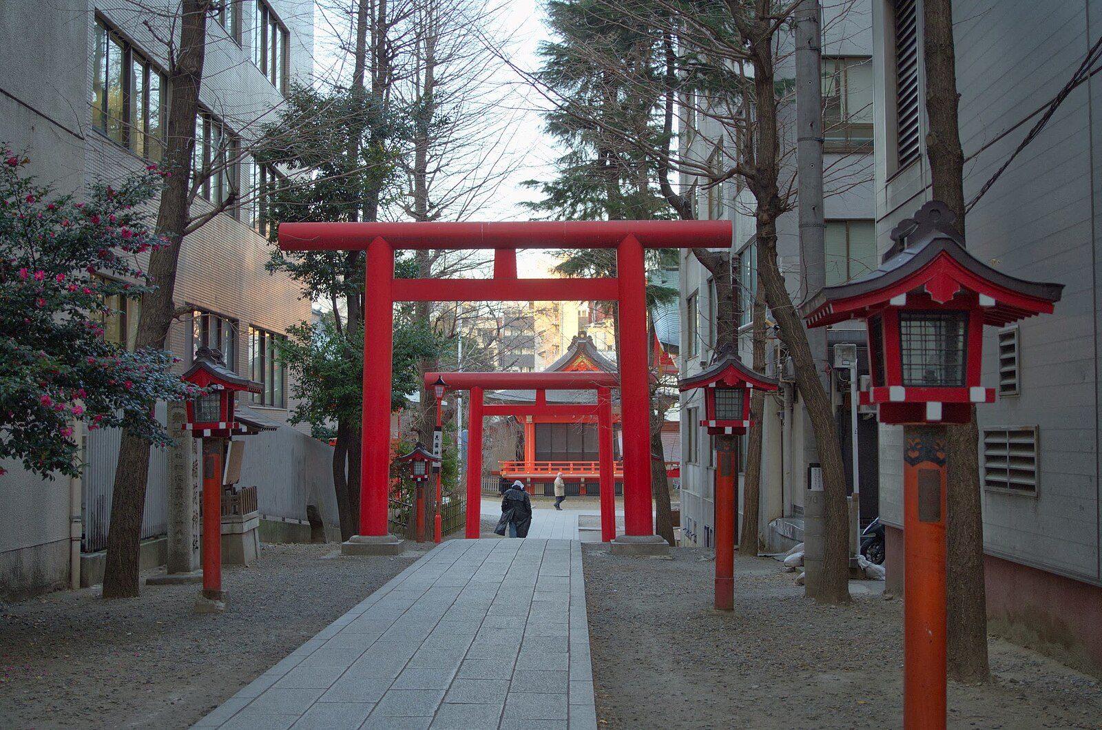 Explore Shinjuku Like A Local: Hanazono Shrine