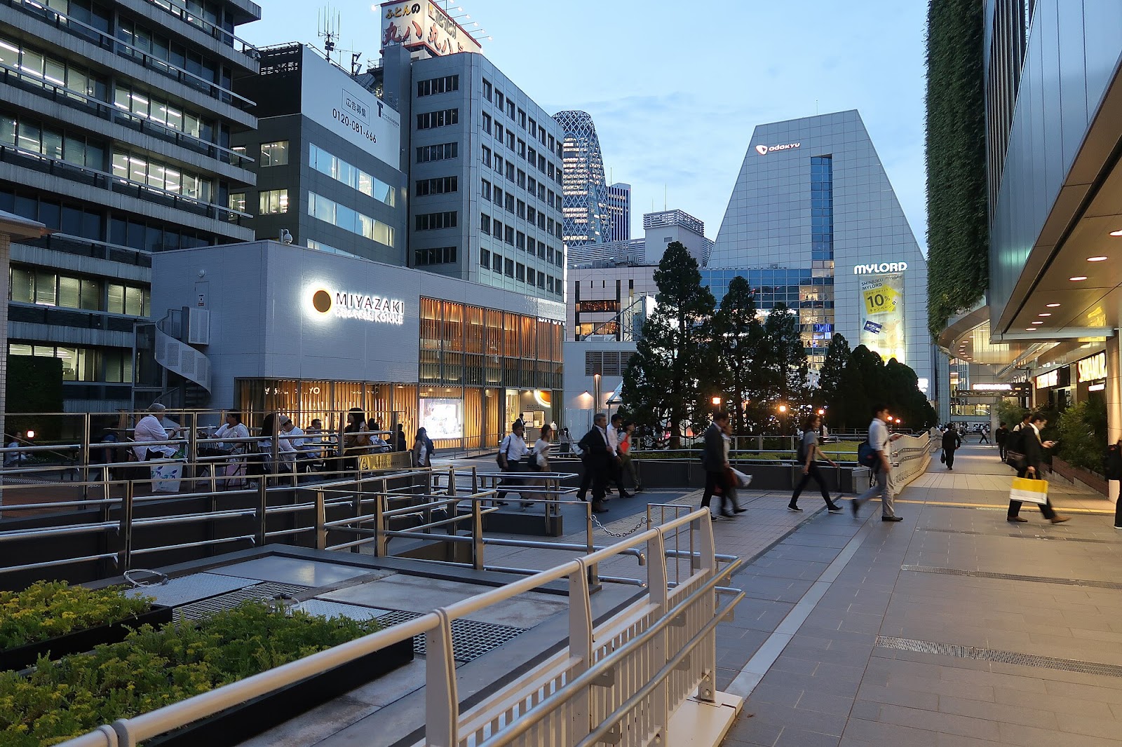 Explore Shinjuku Like A Local: Shinjuku Southern Terrace Stroll