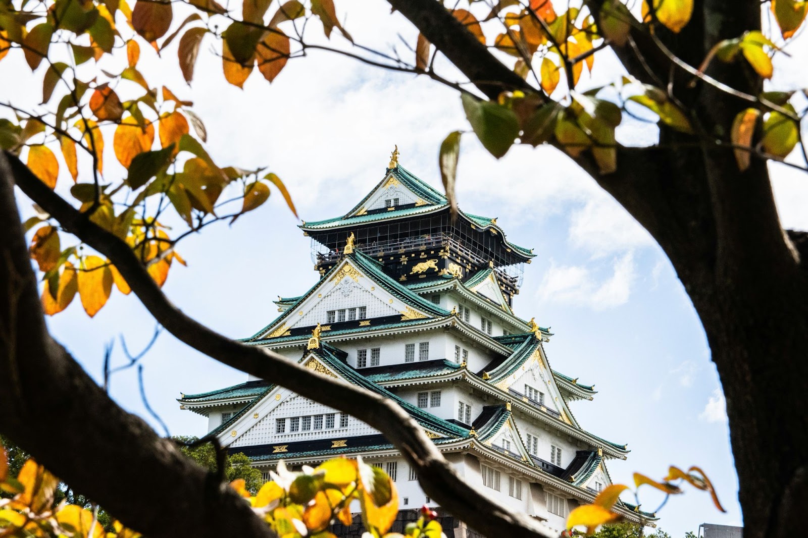 October in Japan: Tips and Insights for a Memorable Autumn Experience