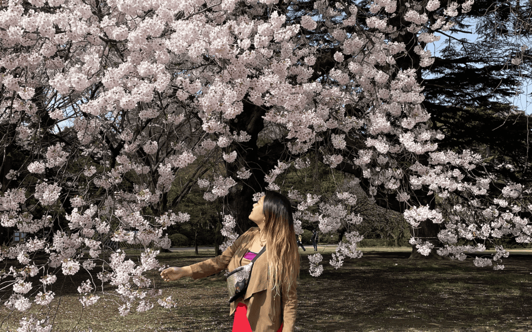 Sakura Through the Seasons: Discover Japan’s Year-Round Cherry Blossom Magic