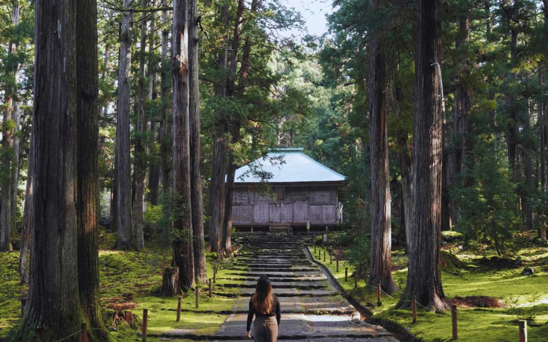 Off-the-Beaten-Path Japan: Travelling Beyond Kyoto and Tokyo