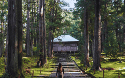 Off-the-Beaten-Path Japan: Travelling Beyond Kyoto and Tokyo