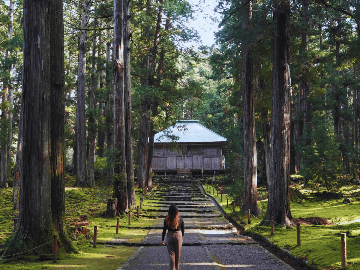 Fukui-Heisenji Hakusan-2 Fukui-Heisenji Hakusan Off-the-beaten-path Japan destination