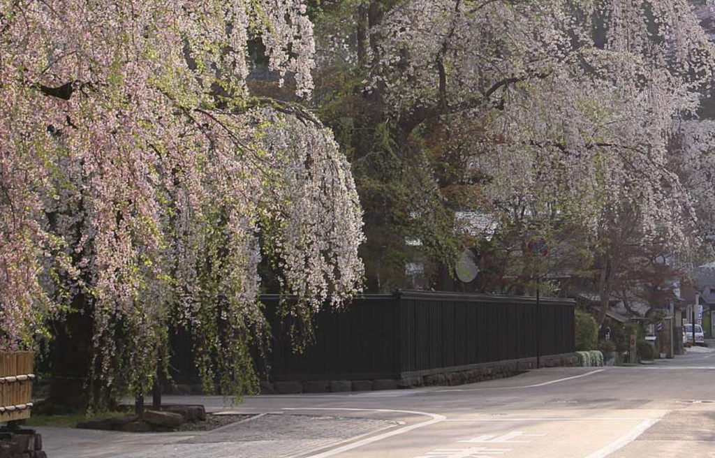 April in Japan: Kakunodate