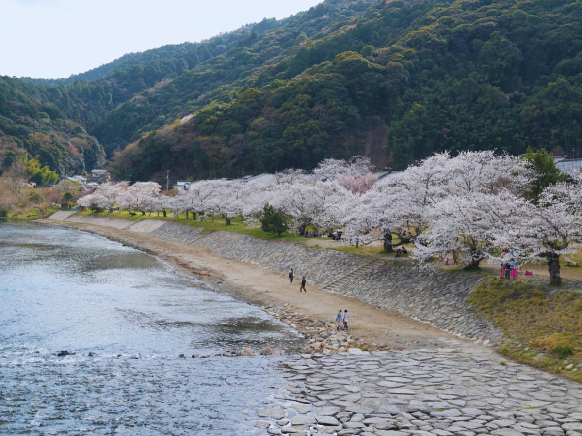 (Photo by Flip Japan) Yamaguchi Kintaikyo Bridge (錦帯橋)
