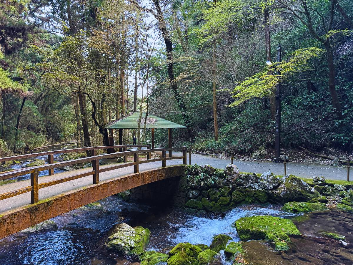(Photo by Flip Japan) Yamaguchi Akiyoshido Cave (秋芳洞)
