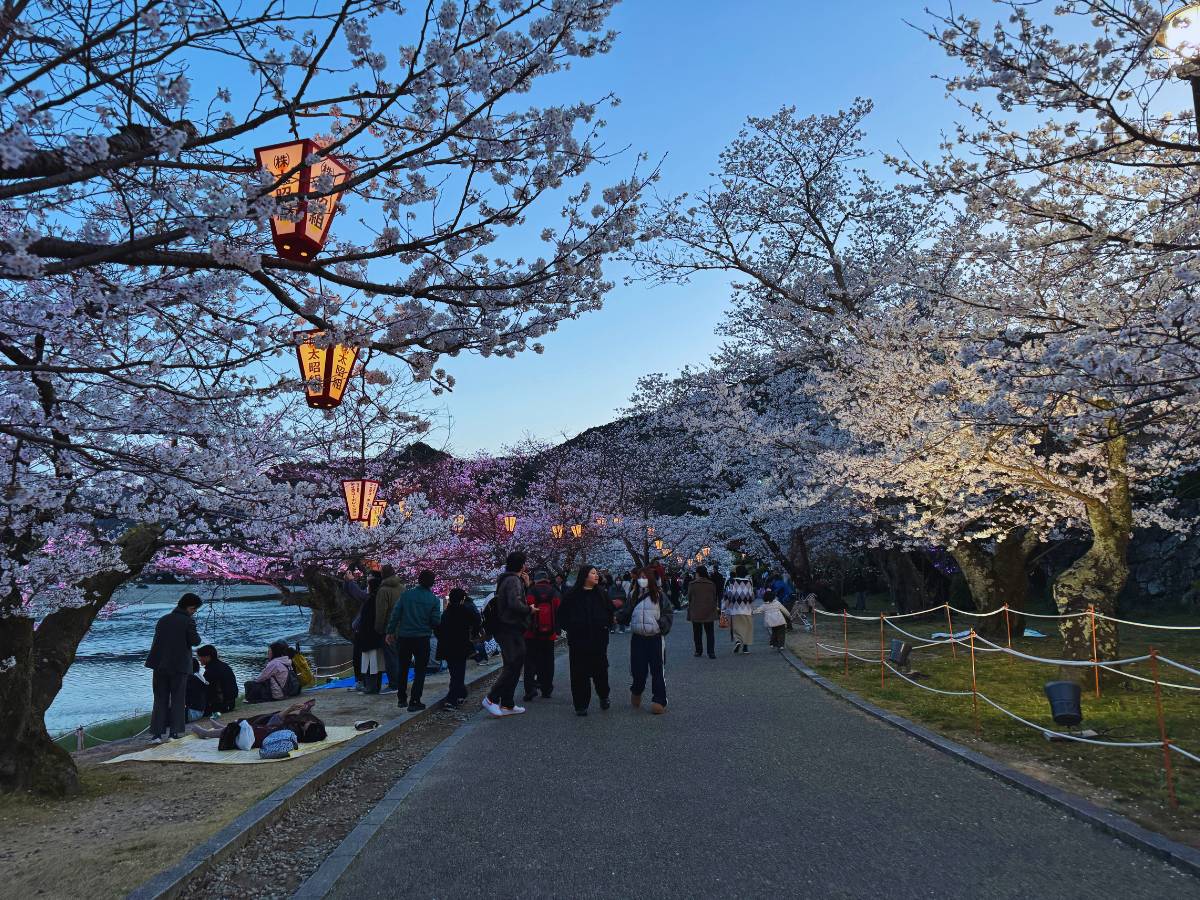 (Photo by Flip Japan) Yamaguchi Kintaikyo