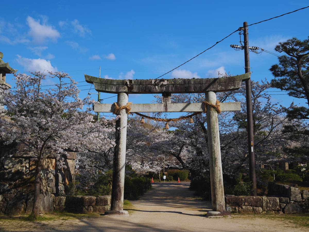 (Photo by Flip Japan) Yamaguchi Kikko Park (吉香公園)