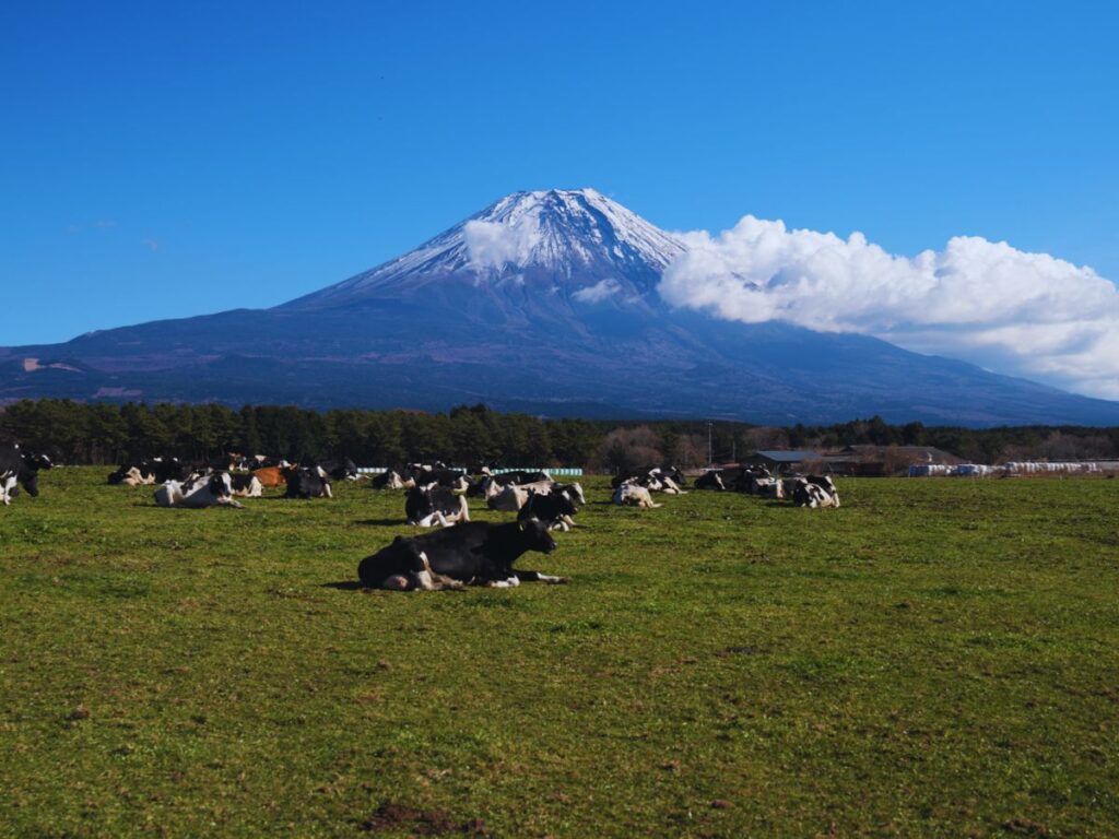Kawaguchiko-Mount Fuji (Photo property of Flip Japan)