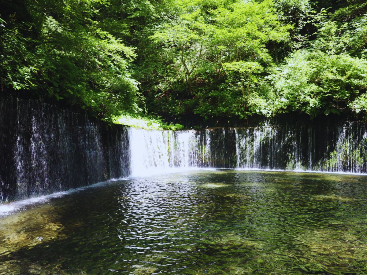 Nagano-Shiraito (Photo property of Flip Japan)