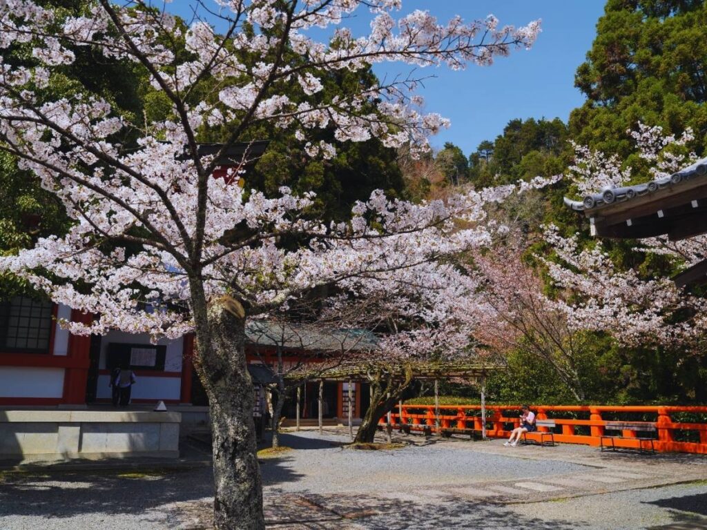 Kifune Kurama Hike (Photo by Flip Japan) Kifune Kurama Hike (Photo by Flip Japan)