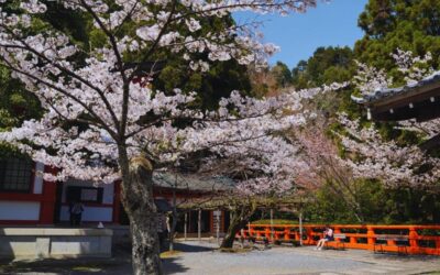 Kurama to Kifune Hike: Scenic Kyoto Trail