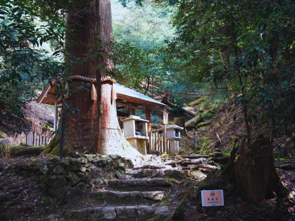 Kifune Kurama Hike (Photo by Flip Japan)