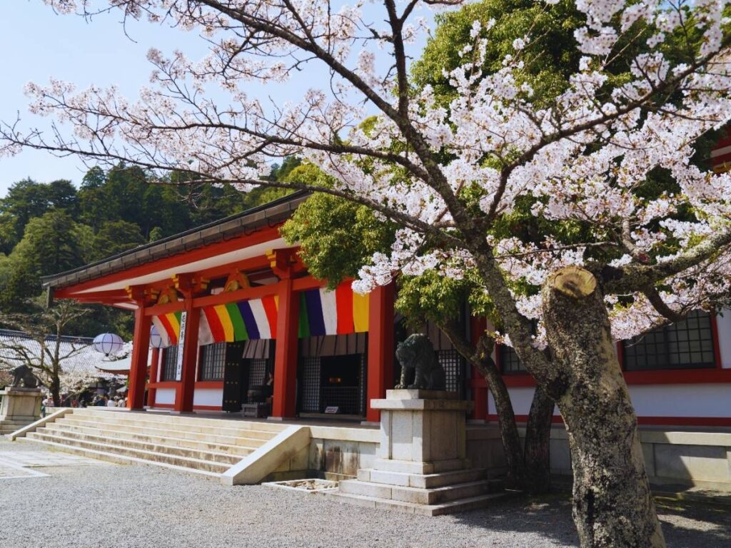 Kifune Kurama Hike (Photo by Flip Japan)