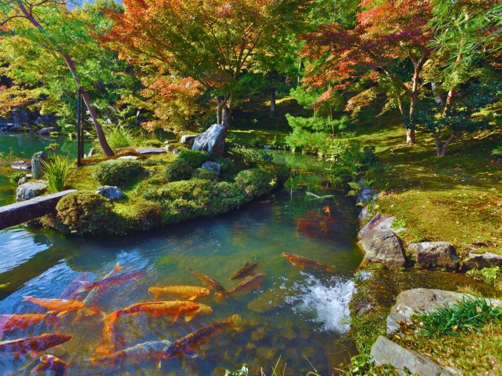 Kyoto-Arashiyama-Tenryuji