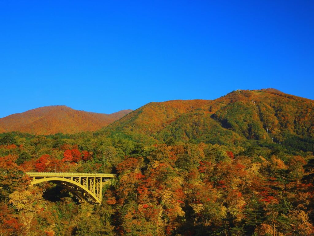 Miyagi Area Guide + itinerary