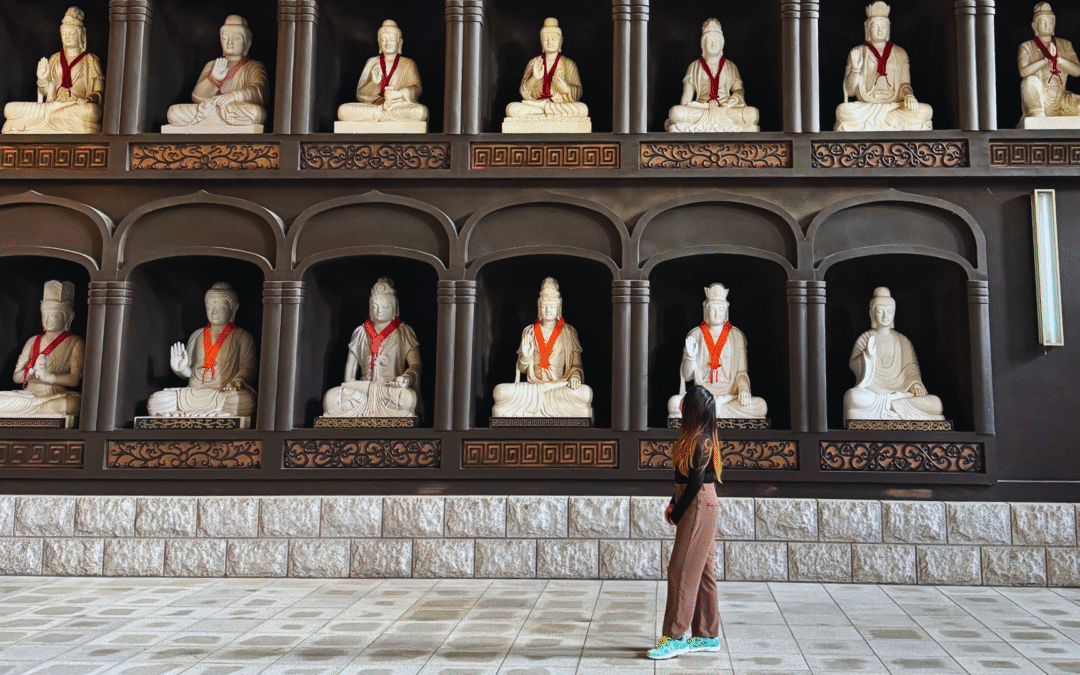 How to Plan an Incredible Japan Solo Trip: The Complete 10 Step Guide