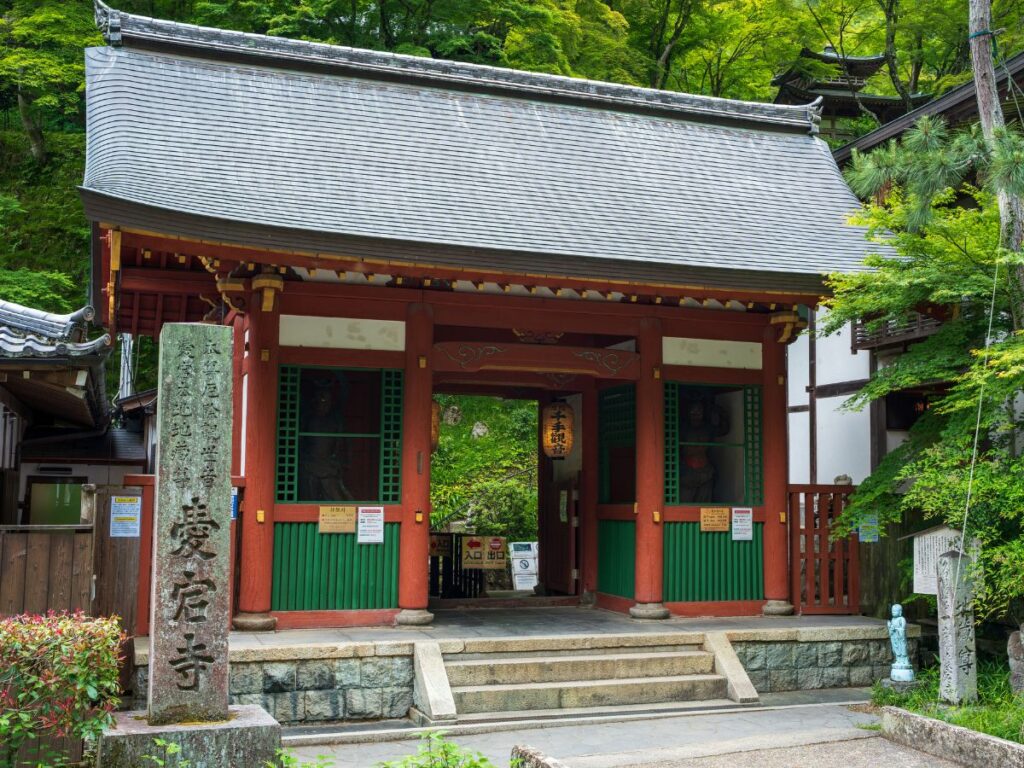 Kyoto-Arashiyama-Otagi Nenbutsuji 2