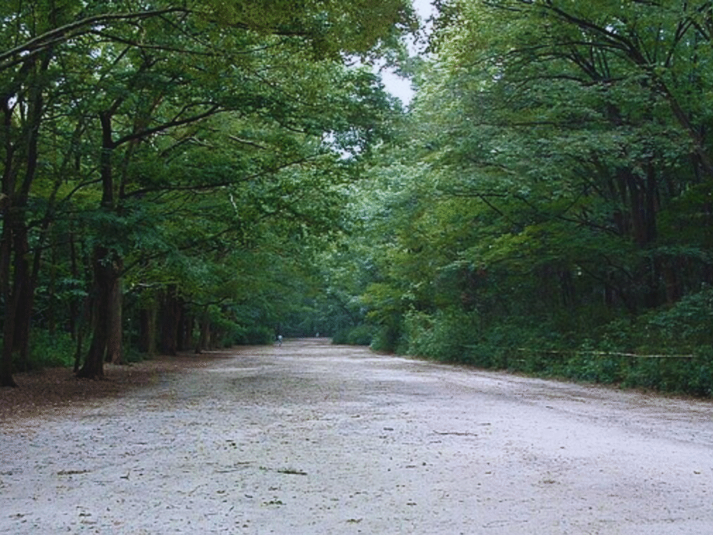 Kyoto-Shimogamo Shrine