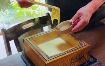 Authentic Japan Cooking Class: Make Your Own Tofu Skin (Yuba)
