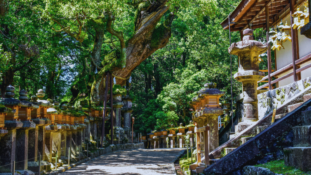 Photo of Kasuga Taisha in Nara
