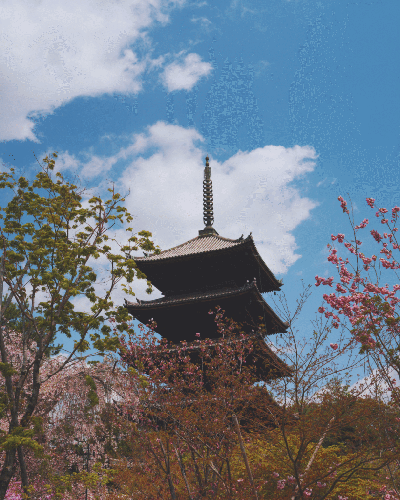 Flip Japan photo of Naninji in Kyoto for Osaka vs Tokyo