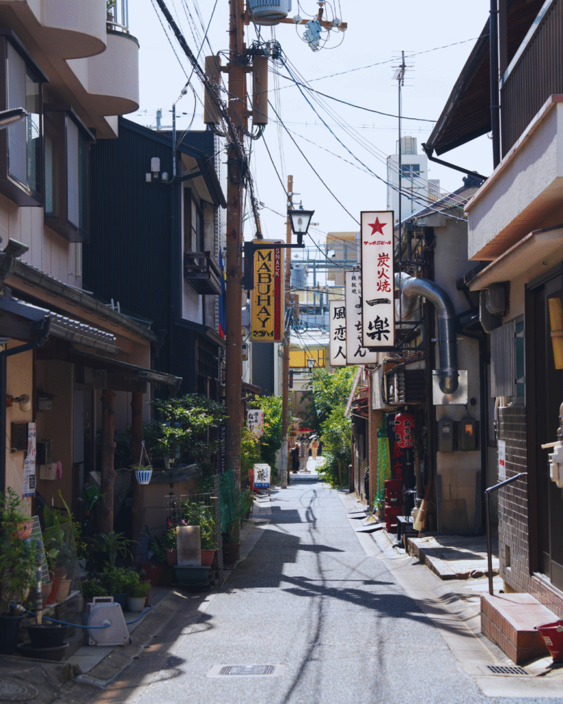 Flip Japan photo of the streets in Nara