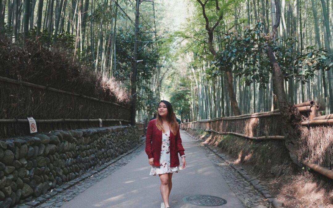 Kansai Wide Area Pass: Is It Actually Worth ¥12,000 in 2025?