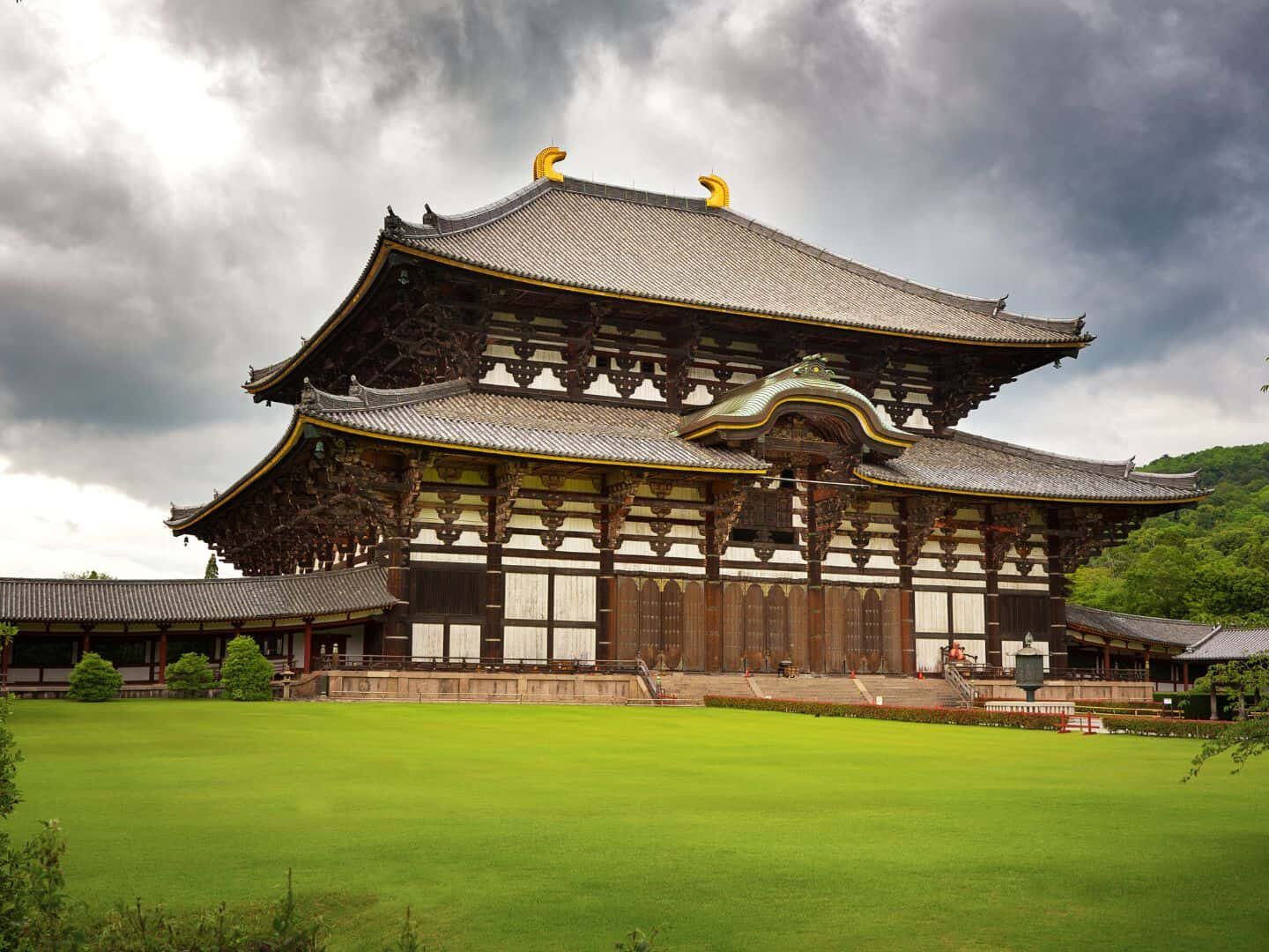 10-day Japan Itinerary Day 6_ Nara (2)