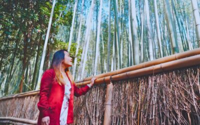 Luxury Kyoto Trip: A Boutique Travel Agency’s Guide to Doing It Right
