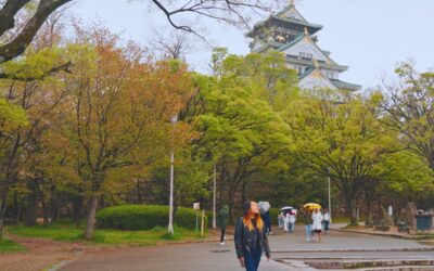 Kansai Area Pass: Worth It for Your Japan Trip?