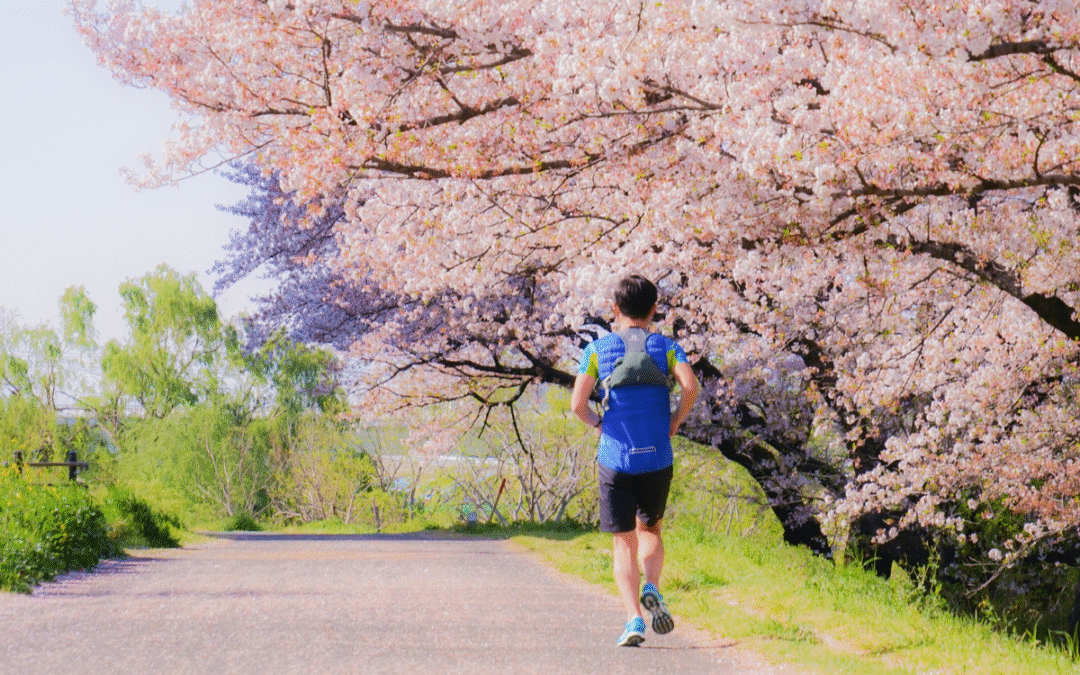 Japan Run & Hike Tour: A Group Trip For The Active