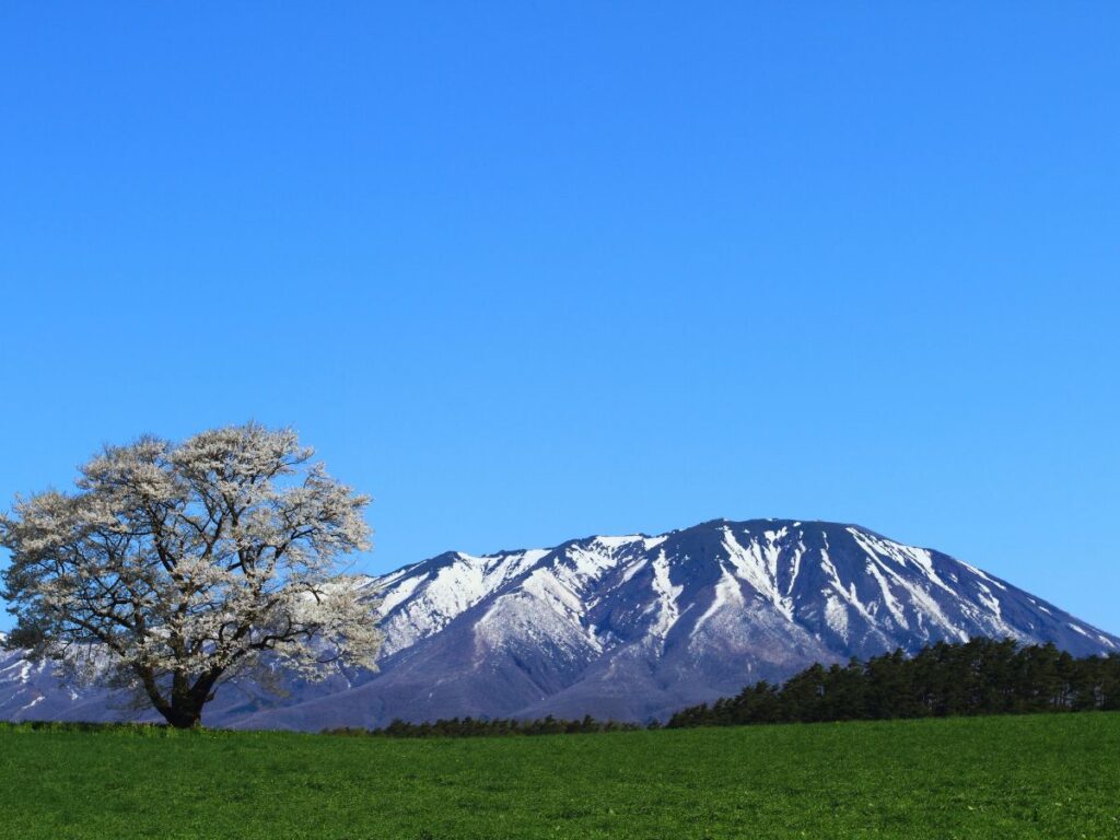 (JR East Pass Tohoku Coverage) Iwate