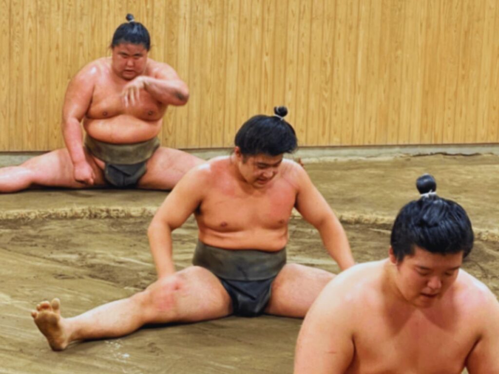 Experience sumo in Japan (sumo morning practice)